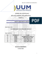 Audit Assignment (Final Version)