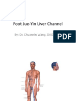 Class 10 - Foot Jue-Yin Liver Channel