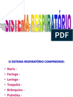 97172054-Sistema-Respiratorio.pptx