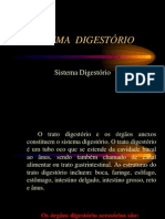 97171514-Sistema-Digestorio.ppt