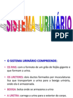 97172370-Sistema-Urinario.pptx