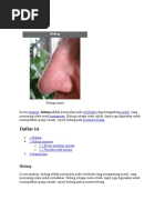 Download HiDung by indras box 21 SN22509791 doc pdf