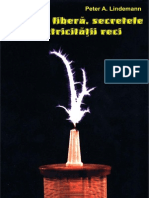 Peter A. Lindemann - Energia Libera - Secretele Electricitatii Reci