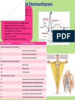 Componente Del ECG