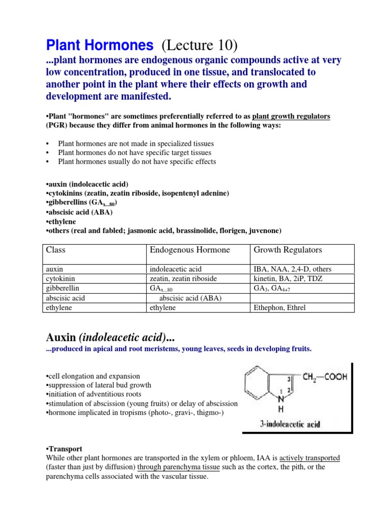 Plant Hormones and Growth Regulators | PDF | Plant Hormone | Auxin