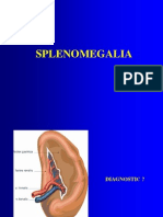 Splen Omega Lia