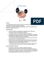 Plasticidad Cerebral