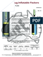 30 Bridge Plug Metric Fixed End