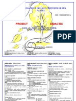 0_104_proiect_de_lectie