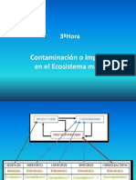 Contaminación o Impacto de La Contaminacion Marina