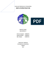 Download Kelompok 4 Hepatoprotektor by Dekalamanda SN225181866 doc pdf