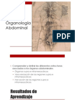 Clase 26 Organologia Abdominal