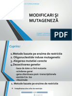 Modificari Si Mutageneza Power Point