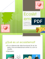 Eco Sistem As