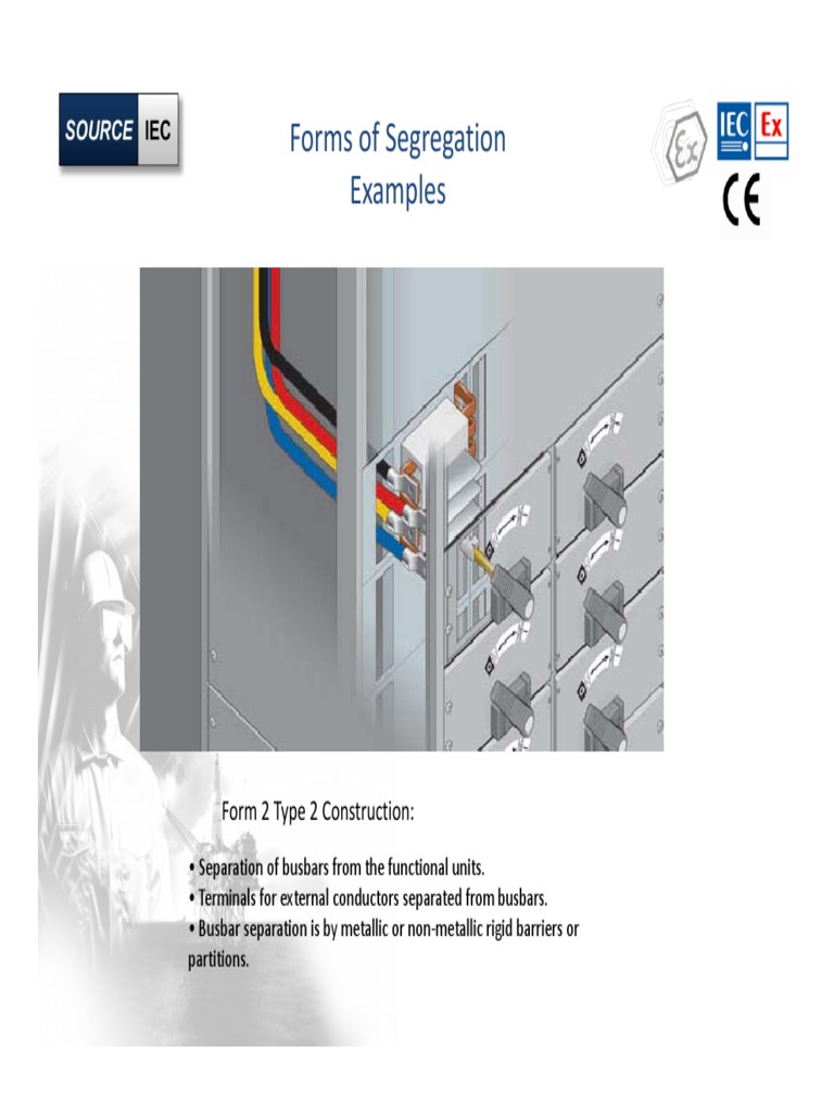 Form 2 Type 2 Segregation Examples | PDF
