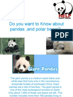 Do You Want To Know About Pandas, and Polar Bears?
