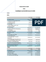 RocketInternet2012BALANCE.pdf