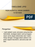 Metabolisme Lipid