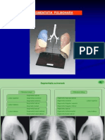 SEGMENTATIA  PULMONARA