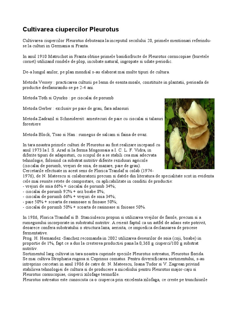 Cultivarea Ciupercilor Pleurotus | PDF
