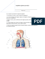 Examen Lingüística 1o 3 Mayo.pdf