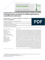 Energy Balance and Environmental Impact Analysis of Marine Microalgal Biomass Production For Biodiesel Generation in A Photobioreactor Pilot Plant