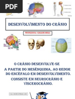Desenvolvimento Do Crânio