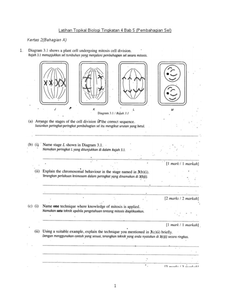 Latihan Topikal Biologi Tingkatan 4 Bab 5 Pdf