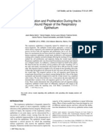 Cell Migration and Proliferation During The in Vitro Wound Repair of The Respiratory Epithelium