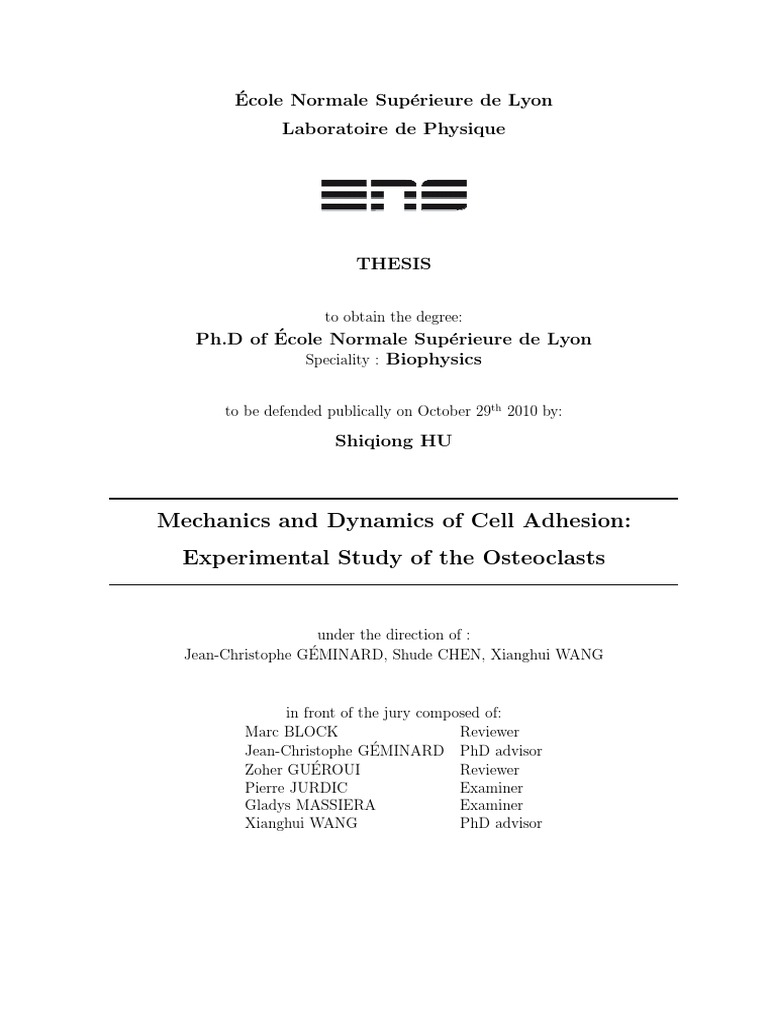 Osteoclast Cell Adhesion Dynamics | PDF | Science & Mathematics
