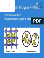 Immobilized Enzyme Systems: Enzyme Immobilization: To Restrict Enzyme Mobility in A Fixed Space