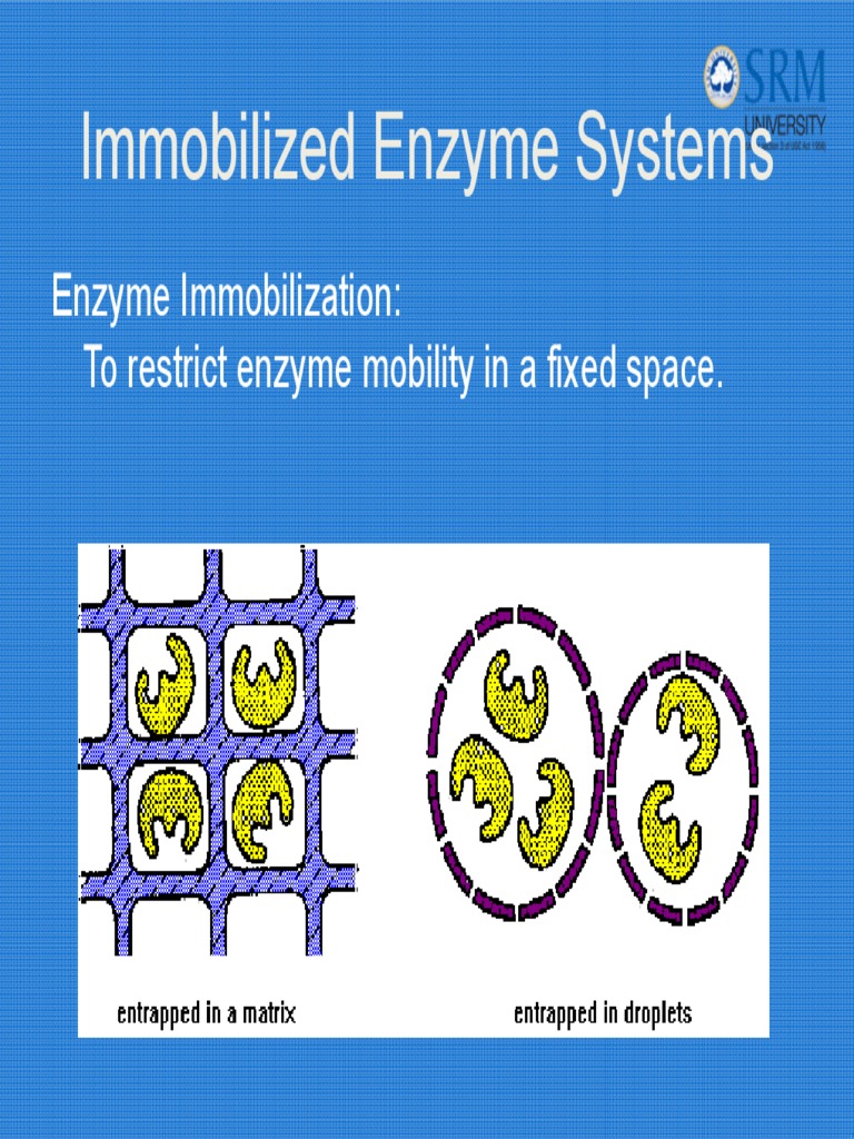 Enzyme Enzyme Polymers
