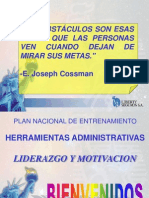 Liderazgo y Motivación LIBERTY Present