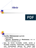 Genul Vibrio