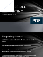 tumoresdelmediastino-130129230012-phpapp02