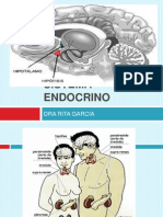 Sistema Endocrino