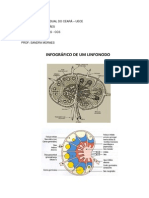 INFOGRAFICO LINFONODO