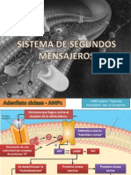 Sistema de Segundos Mensajeros