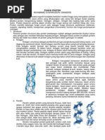 Download Fungsi Protein - Msyafaruddin - 1306482035 by Muhammad Syafaruddin SN225363587 doc pdf