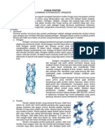 Fungsi Protein - M.syafaruddin - 1306482035