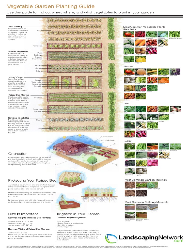 11 Vegetable Garden Layout Plans to Try This Year, image size:768x1024