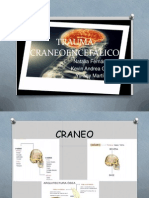 Trauma Craneoencefalico