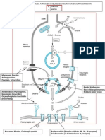 Site of action of Drugs acting on Cholinergic Neurohumoral Transmission PDF.pdf