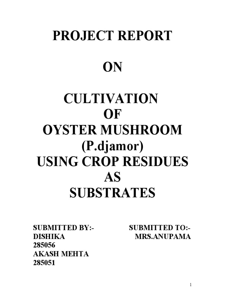 Mushroom Cultivation | PDF | Mushroom | Edible Mushroom