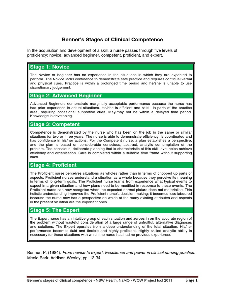 Benners Clinical Competence (Stages) Expert Nursing