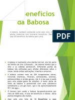 08 Benefícios Da Babosa