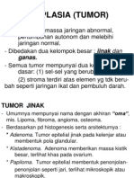 Neoplasia (Tumor)