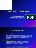 Slow Virus Dan Prion