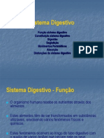 03_SIST_DIGESTIVO_3