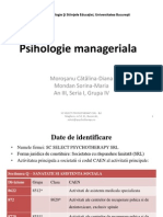 POWERPOINT Plan de Afacere-Psih Manageriala